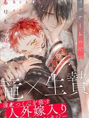 风起青萍 小说封面